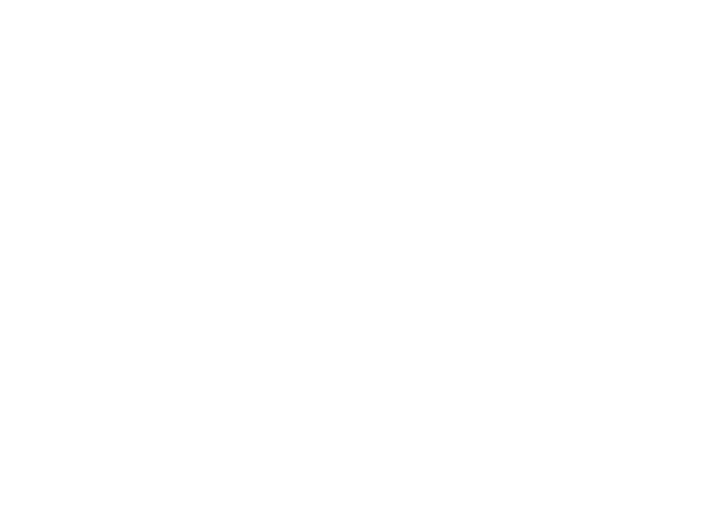 Delfin Corporation